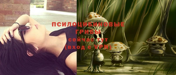хмурый Ладушкин