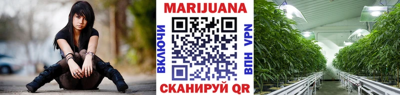 Каннабис Amnesia  купить   Адыгейск 